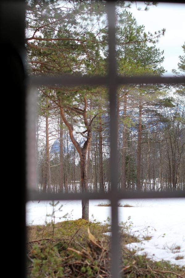 Camp Dronningkrona Alvundeid Kültér fotó