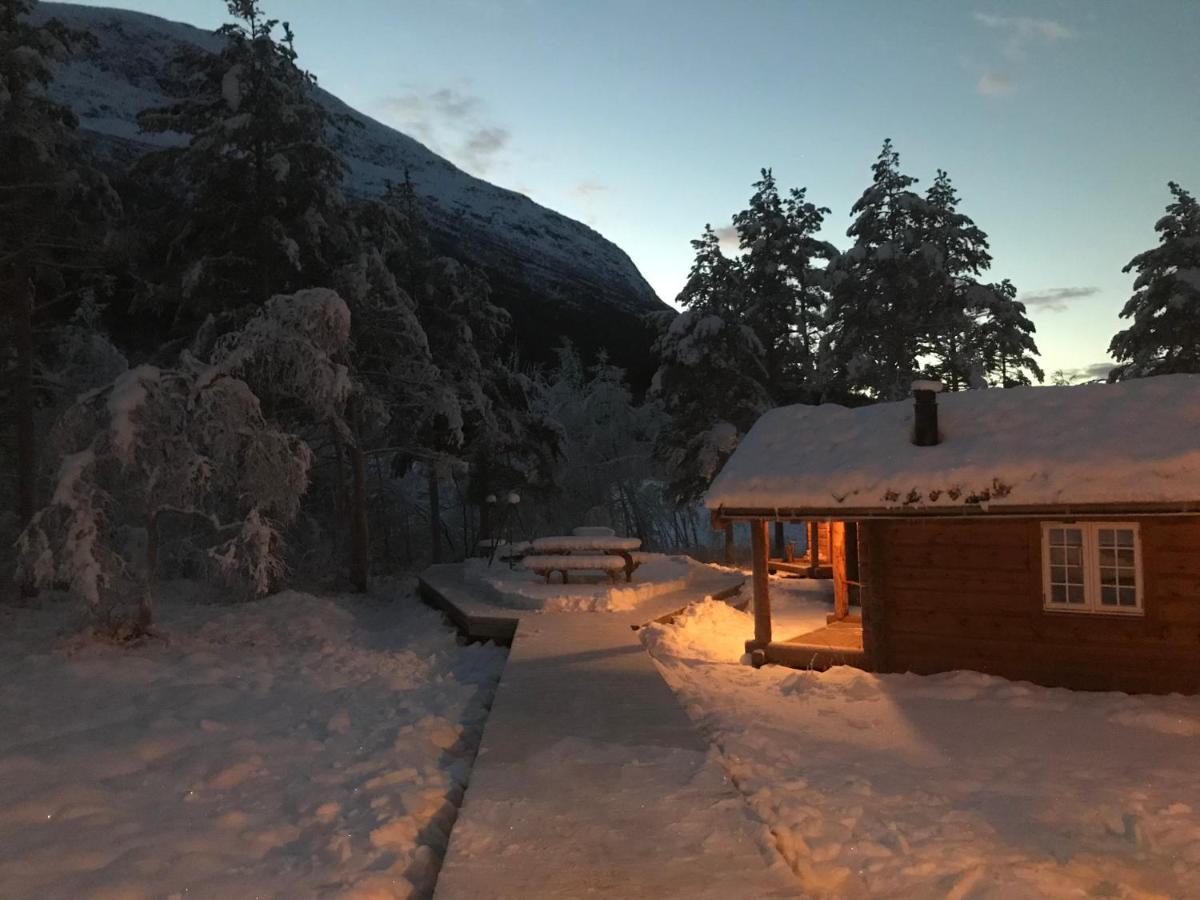 Camp Dronningkrona Alvundeid Kültér fotó